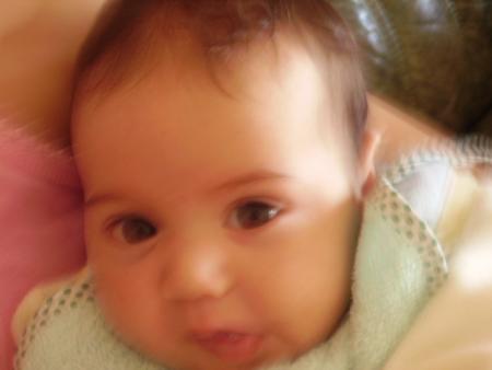 Ilan